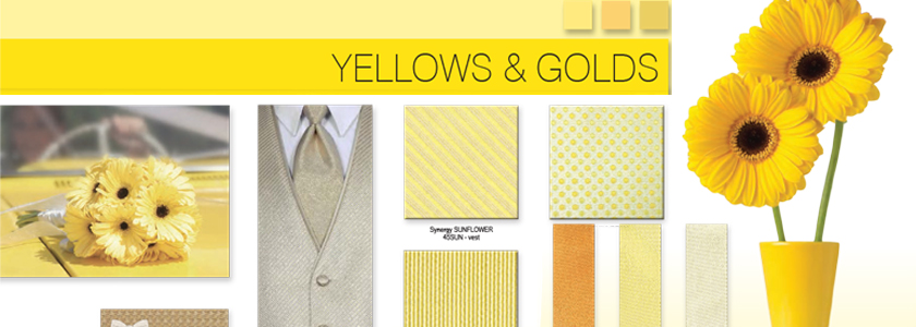 Explore All Your Yellow & Gold Options